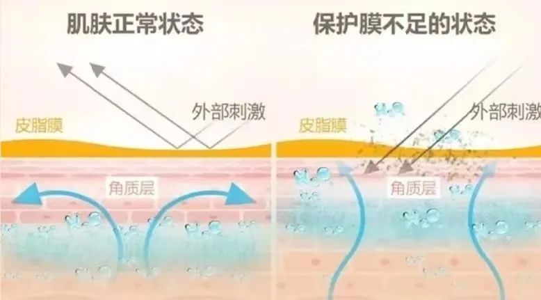 肌肤